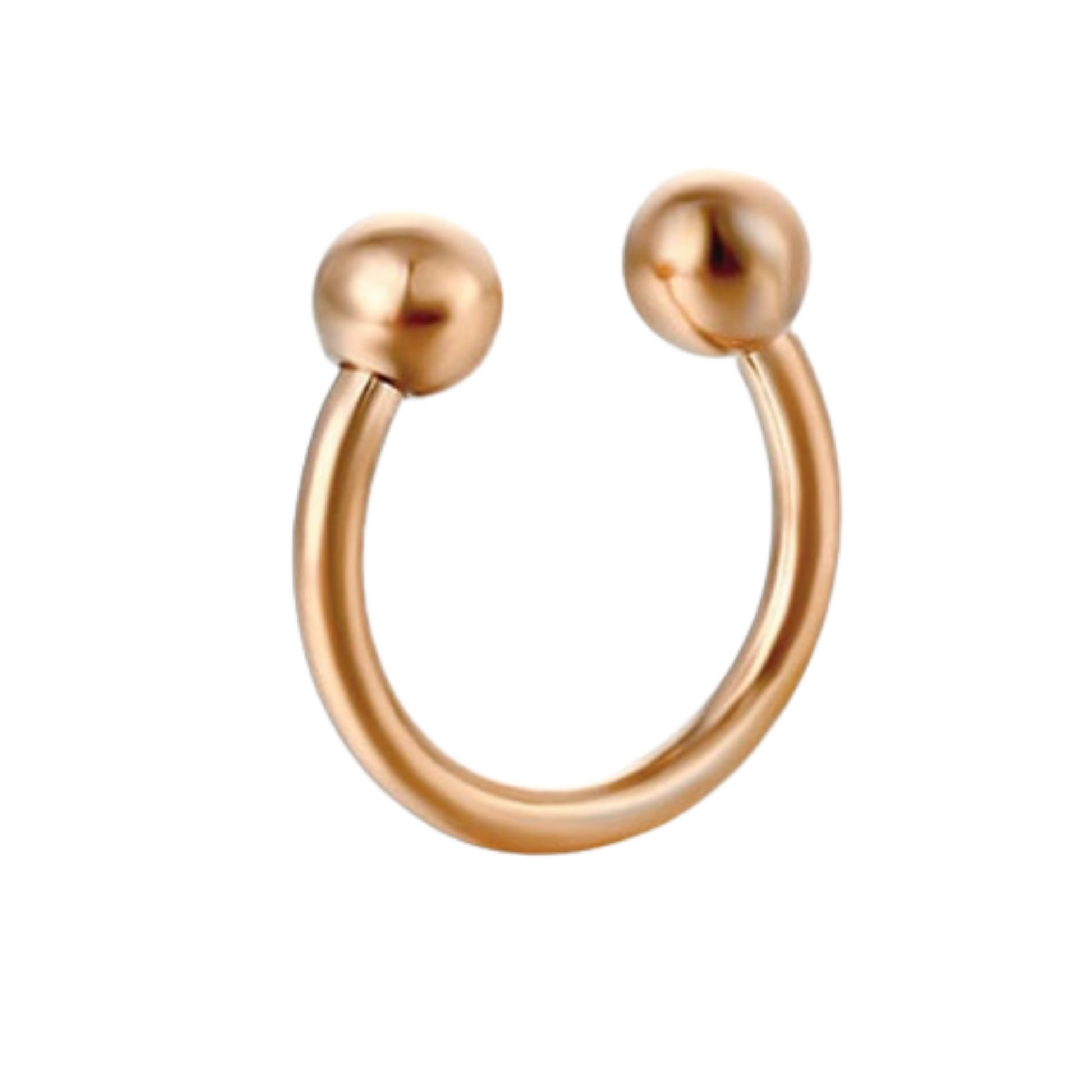 Fake Nose Ring - 